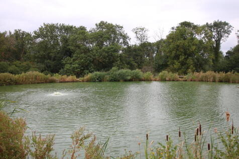 lakeviewh