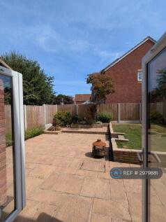 Garden And Patio
