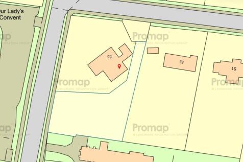 Promap Image