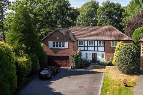 Silver Birches Drone-4.jpg