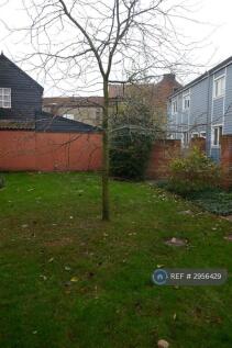 Back Garden