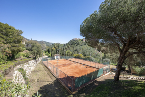 Property Image 25