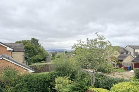 IMG_6919.jpeg