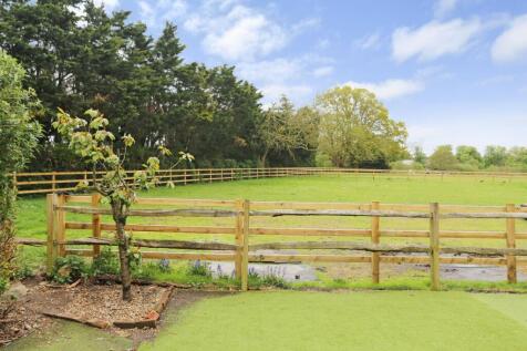 View from the garden