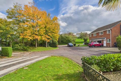 CAM02023G0-PR0178-STILL006