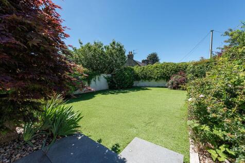 Back Garden
