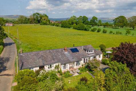 The Property