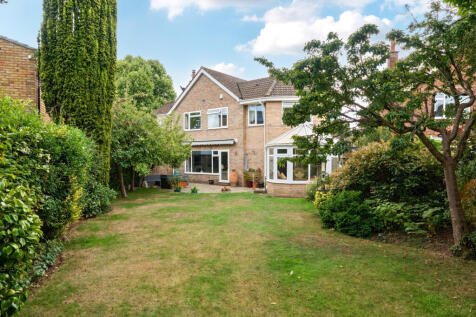 1331665-5-6891d59...