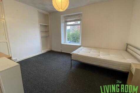 Graig Terrace, Mount Pleasant, Swansea photo 3