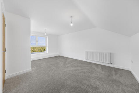 HI3A6705 T202509120941.jpg