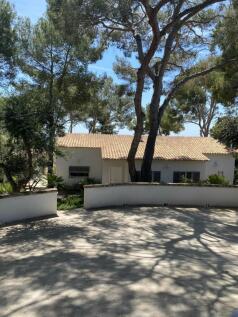 WhatsApp Image 2024-