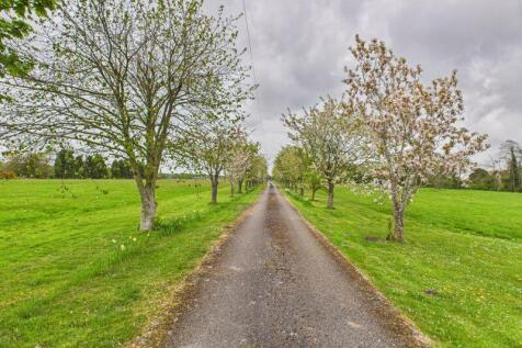 Private Tree Lined Driveway