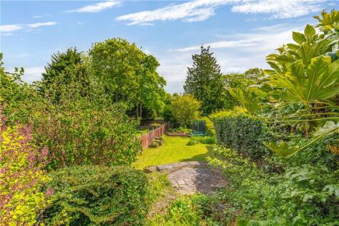 Back Garden