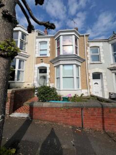 WhatsApp Image 2025-