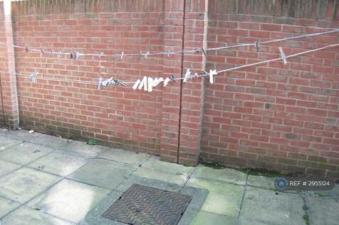 Back Garden