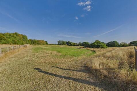 CAM03972G0-PR0458-STILL022.jpg