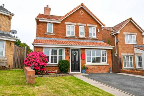 Burley EweMove Skelton-19