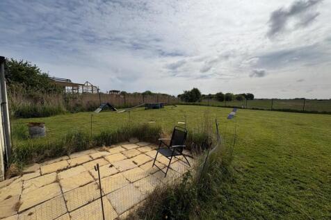 processed-A9164CD4-442C-4196-80E6-5442041B2834.jpe