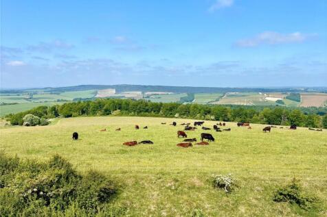 South Downs
