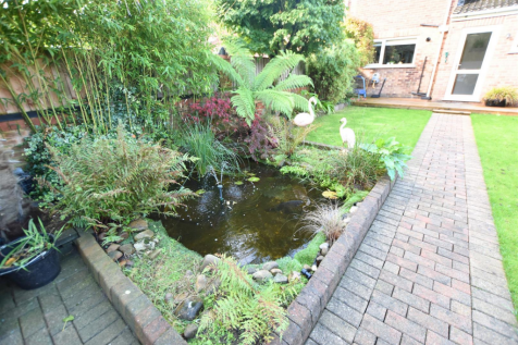 ORNAMENTAL FISH POND