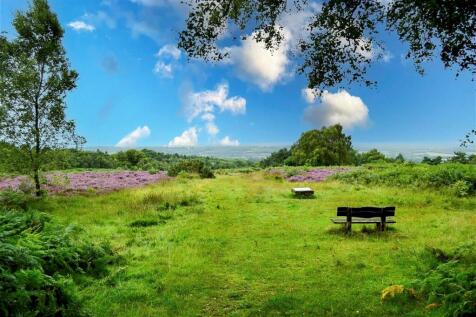 Surround Area - Ashdown Forest