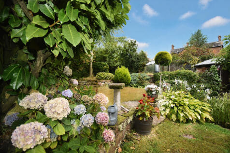 Garden photo 2