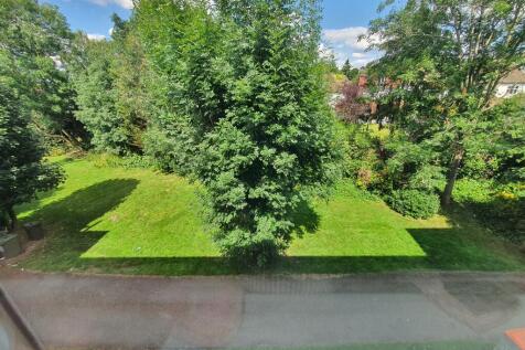 Communal Garden