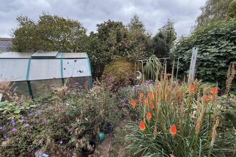 garden 3.jpg
