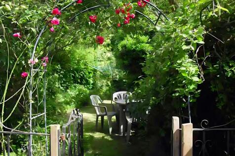 65S Garden roses.jpg