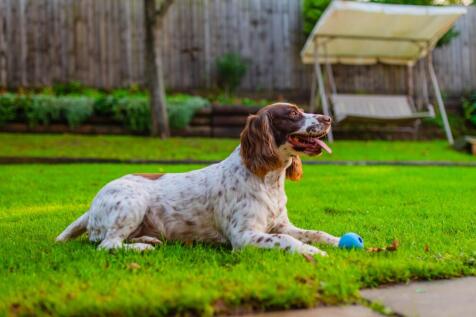 Call 02920 454555 to secure your viewing_13