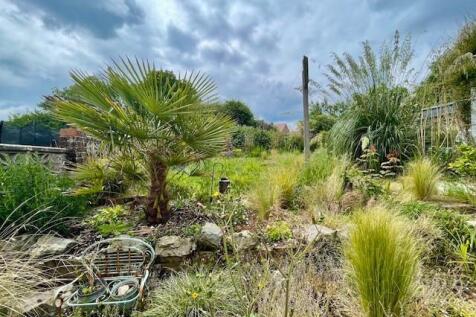 Garden.jpg