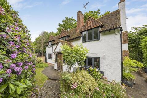 Photo Jun 05 2025, 11 00 58 AM.jpg