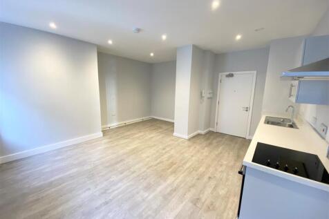 Lounge/ Bedroom / Kitchen