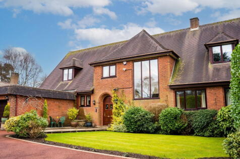 Property Image 46