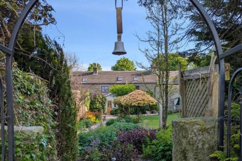 cropped PXL_20250506_161301865.jpg