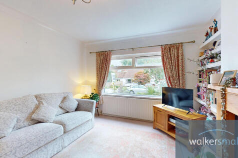 4-Sandy-Walk-08132025_174512