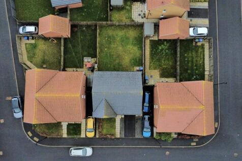 dji_fly_20260209_114356_217_1770637492012_photo_op