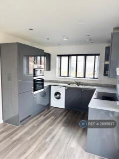 Contemporary Kitchen