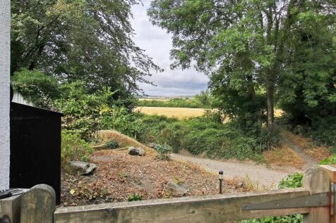 View from back gate