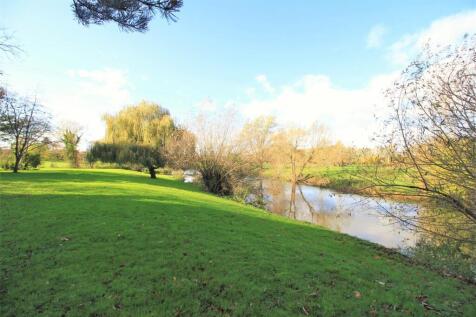Riverbank.JPG