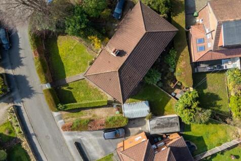 DJI_20260319110220_0008_D.jpg
