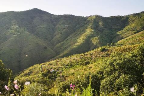 MLG2524CH - VISTA OE