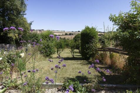 Garden with View 
