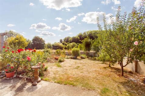 Garden 4.jpg