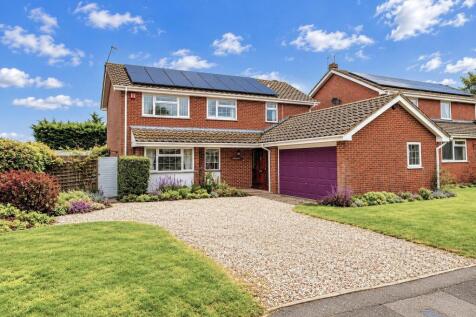 Front Garden &amp; Drive