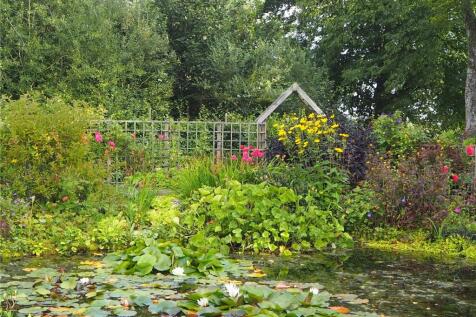 Pond In Summer