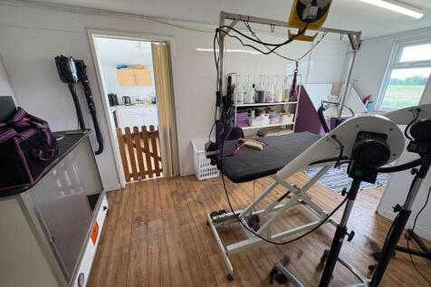 processed-78691457-C681-4886-B252-0CBE0F5CD033.jpe