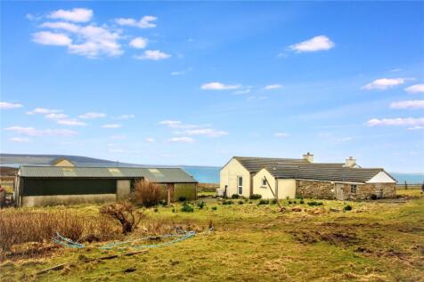 Main 2