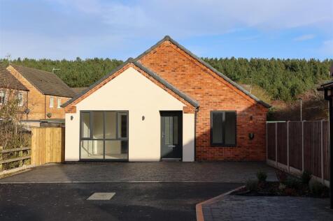 Copper Beech Close-3.jpg