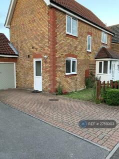 Driveway &amp; Garage